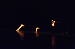 Photo_5