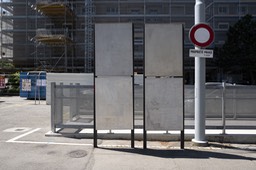 Photo_6