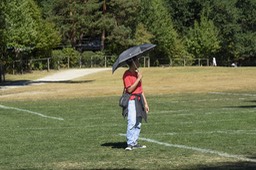 Photo_6