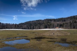 Photo_7