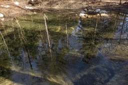 Photo_8