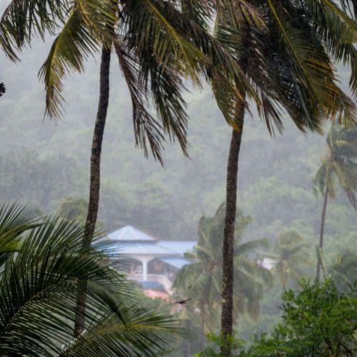 Goa