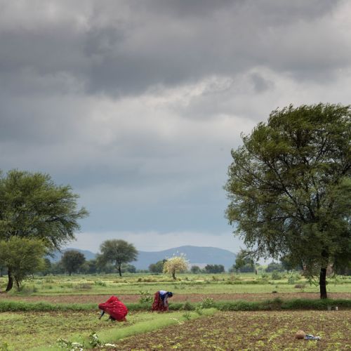 On the Road Rajasthan