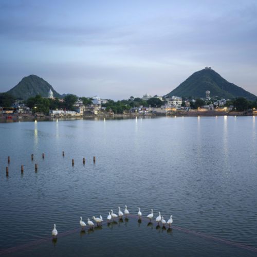 Pushkar