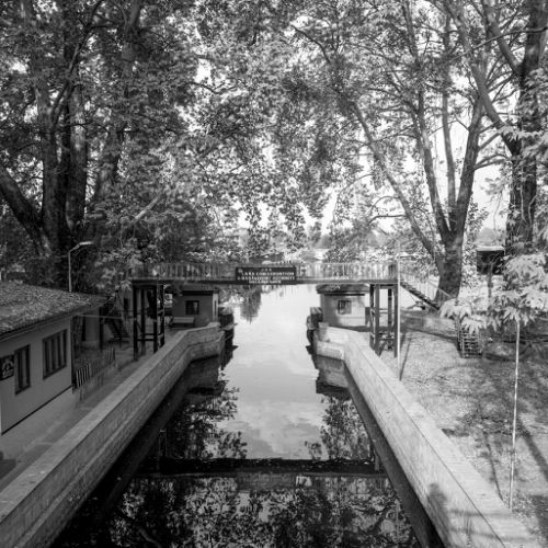 Srinagar: les quais