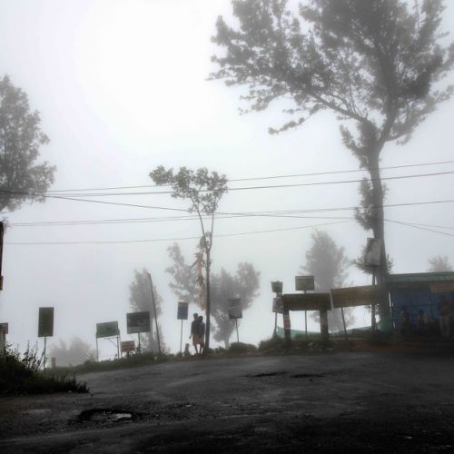 On the road Munnar