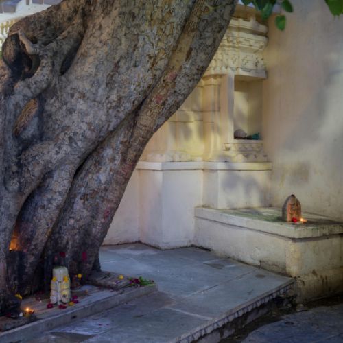 Udaipur