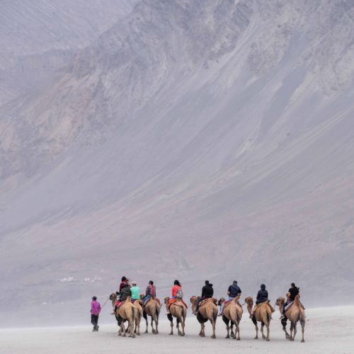 Vallée de Nubra